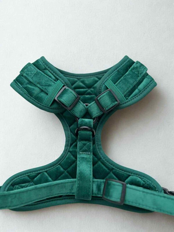 Velvet Forest Harness