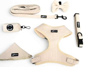 Oatmilk 6-piece set