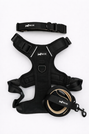 "Bark in Black" 3-Piece Set