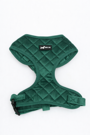 "Velvet Forest" Adjustable Neck Harness