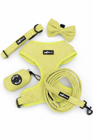 "Pawssachio Green" 5-Piece Set