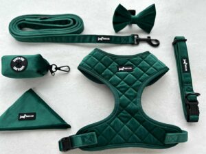 Velvet Forest 6-piece set