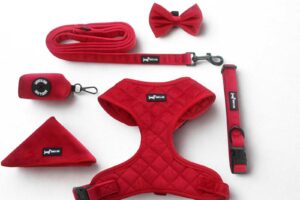 Strawberry Plush 6-piece set
