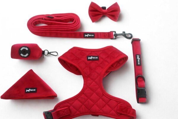 Strawberry Plush 6-piece set