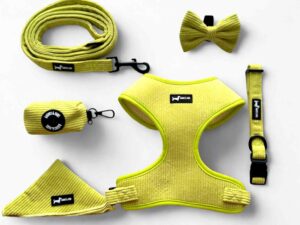 Pawssachio Green - 6-piece set