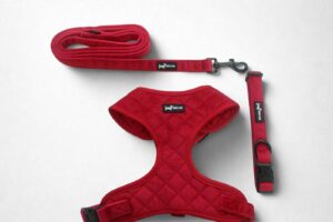 Strawberry Plus 3-piece set