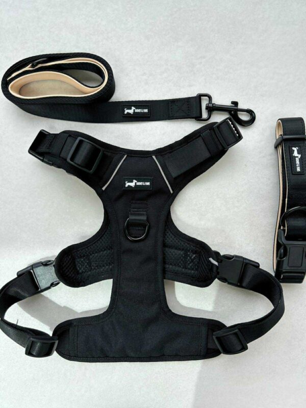 Bark in Black 3 Piece Set