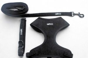 Midnight Cord 3 Piece Set