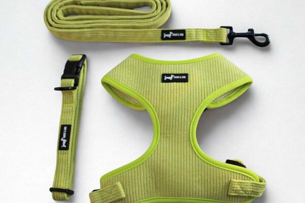 Pawssachio Green 3 Piece Harness