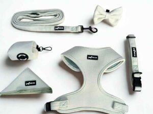 Herringbone Sage 6-Piece set