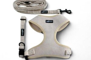 Oatmilk 3-Piece set