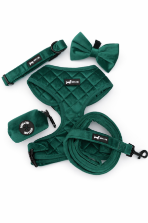 "Velvet Forest" 5-Piece Set