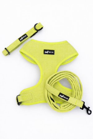 "Pawssachio Green" 3-Piece Set