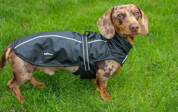 Bark Mac (Black) - Image 4