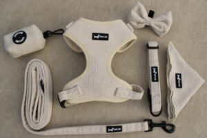 "Oatmilk" 6-Piece Set