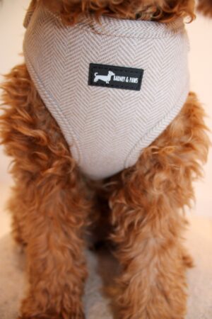 "Herringbone Oat" Adjustable Neck Harness