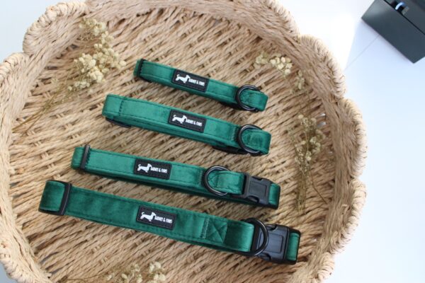 "Velvet Forest" Collar