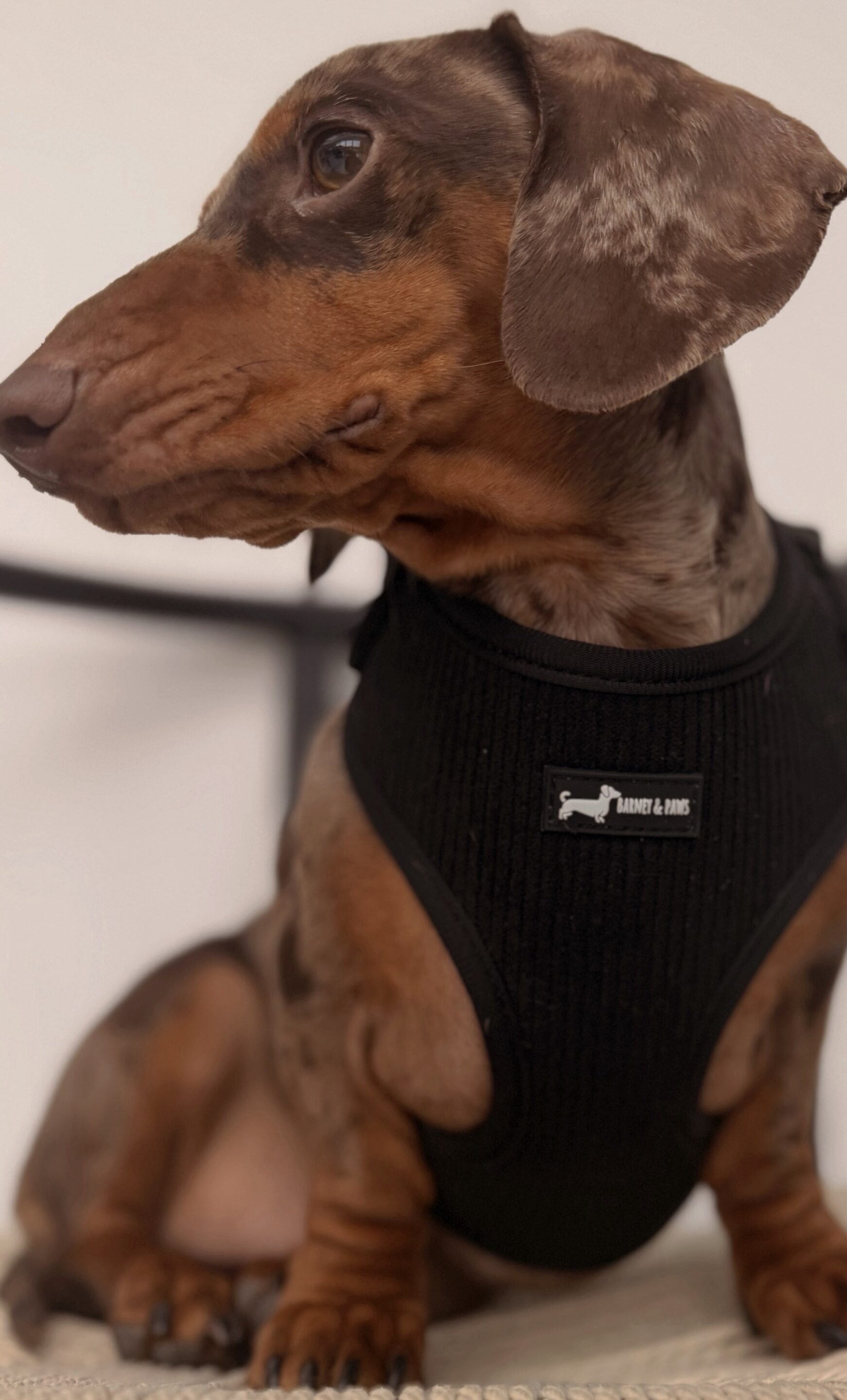 Midnight Cord 3-Piece Set - Image 2