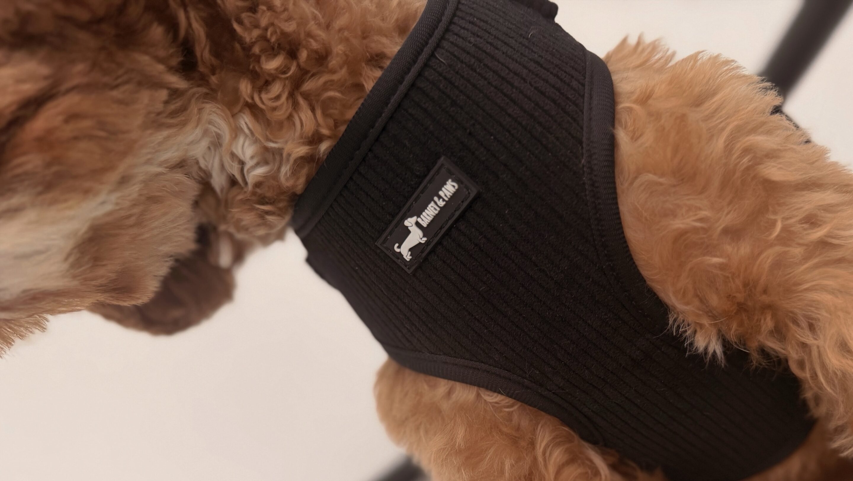 Midnight Cord 3-Piece Set - Image 4