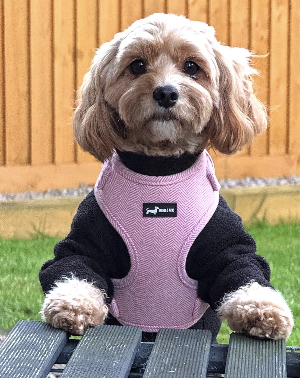 Herringbone Rose 5-Piece Set - Image 2