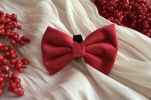 "Strawberry Plush" Bow Tie