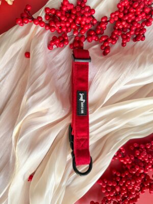 "Strawberry Plush" Collar