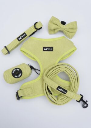 "Pawssachio Green" 6-Piece Set