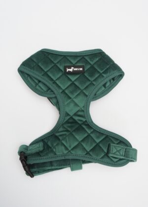 "Velvet Forest" Adjustable Neck Harness