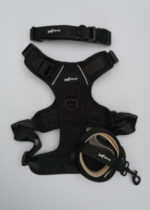 "Bark in Black" oxford 3-Piece Set