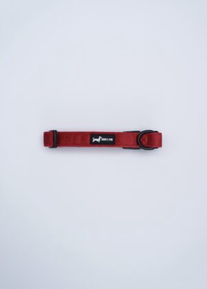 "Strawberry Plush" Collar