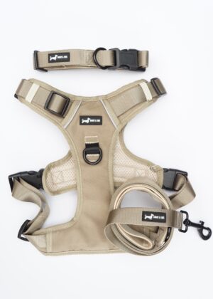 "Olive Dune" 3-Piece Set