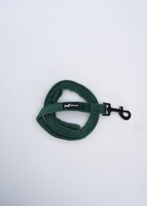 "Velvet Forest" Lead