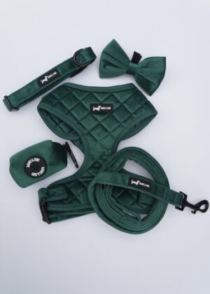 "Velvet Forest" 6-Piece Set