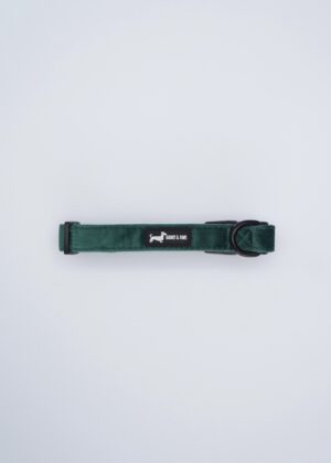 "Velvet Forest" Collar