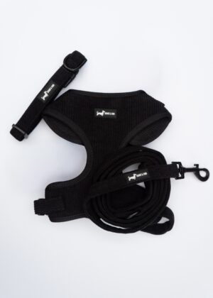 "Midnight Cord" 3-Piece Set