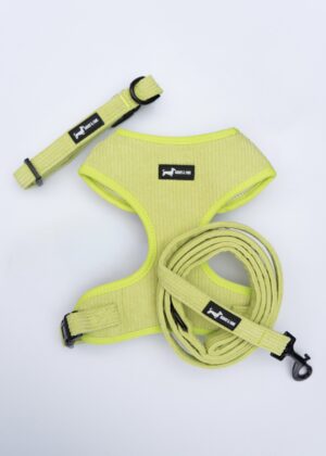 "Pawssachio Green" 3-Piece Set