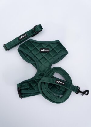 "Velvet Forest" 3-Piece Set