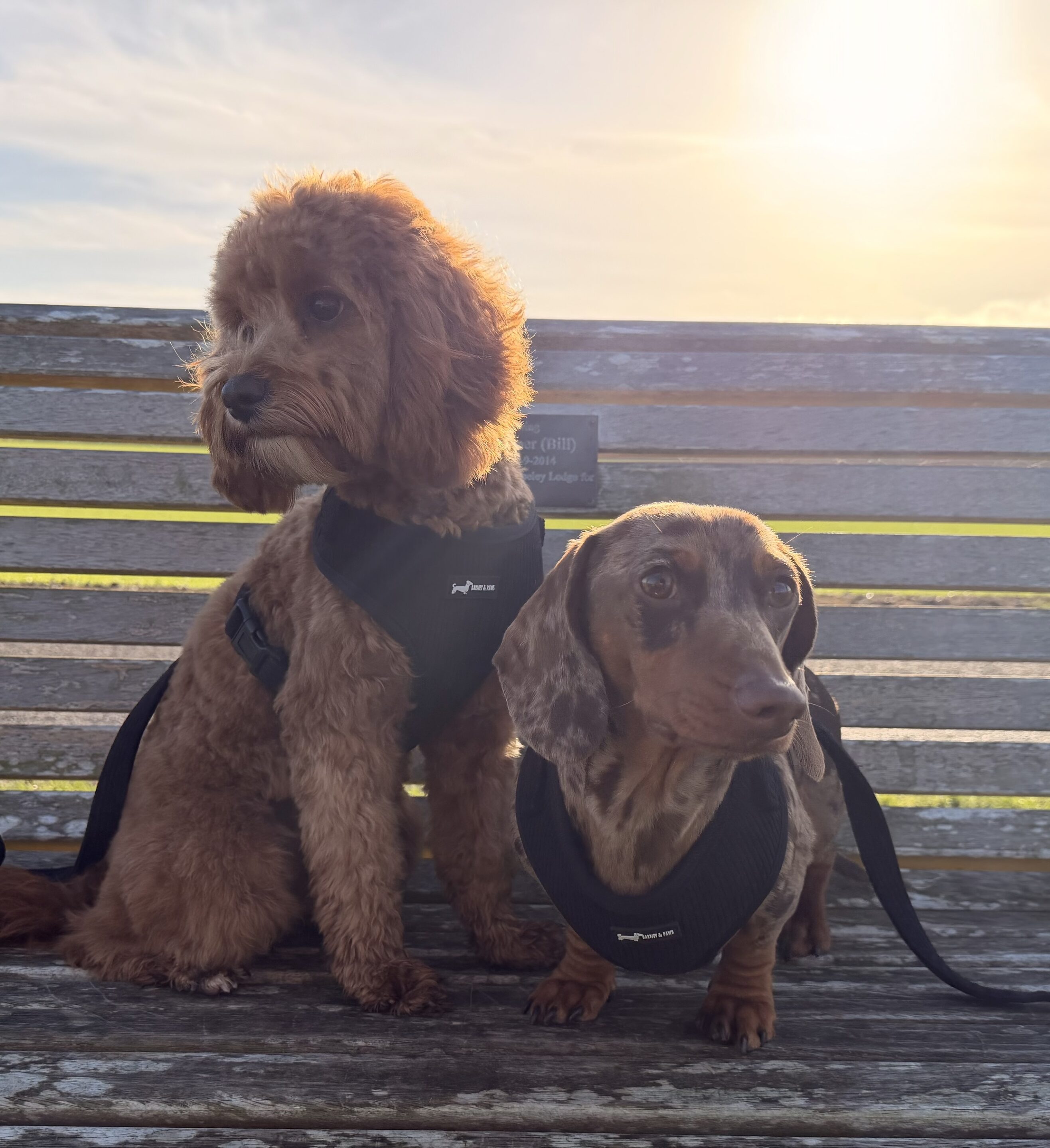 Midnight Cord 3-Piece Set - Image 5