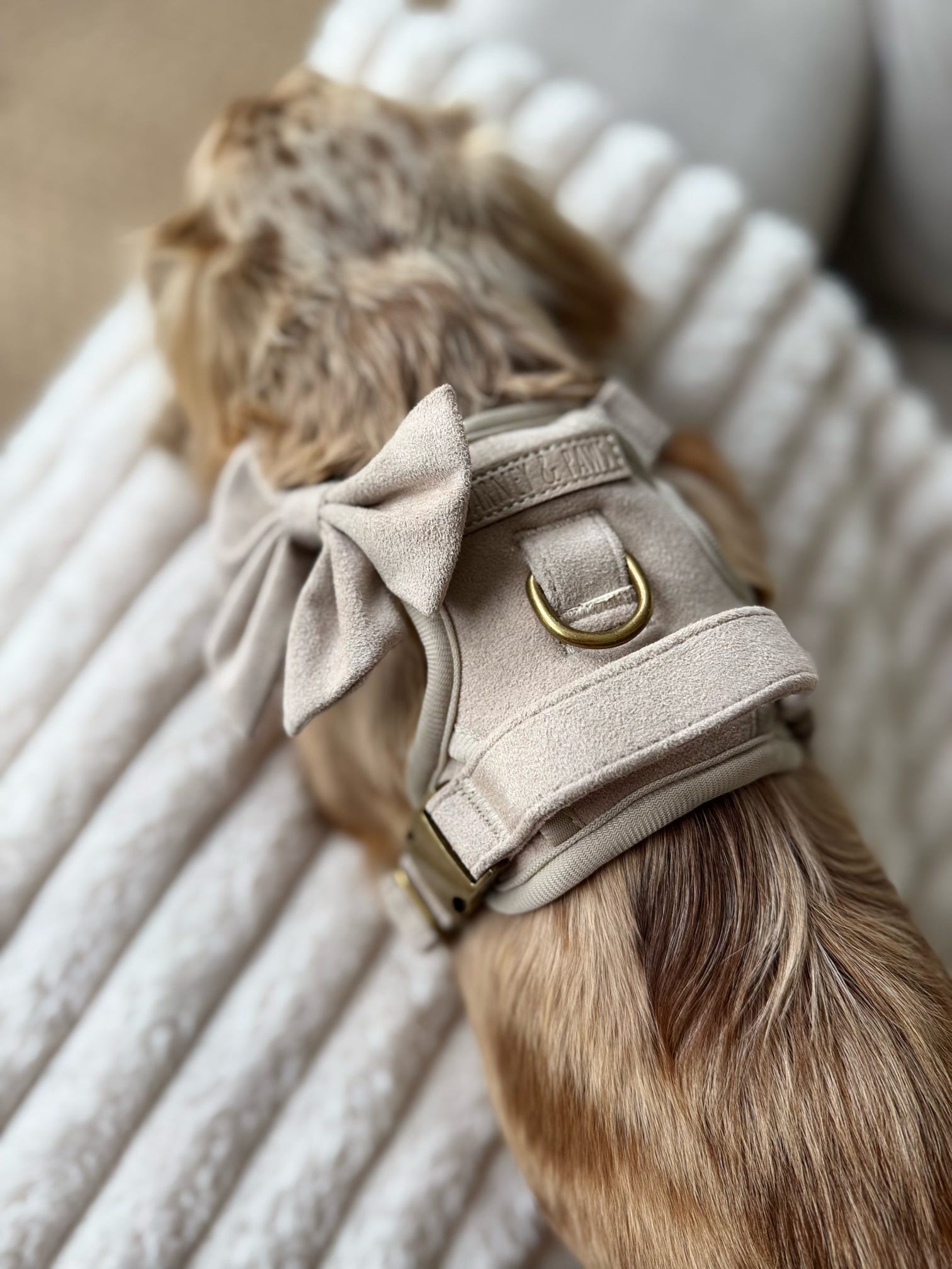 Stone cloud 3-Click Neck Harness - Image 12