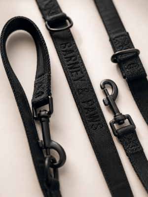 The Essential Multi Lead