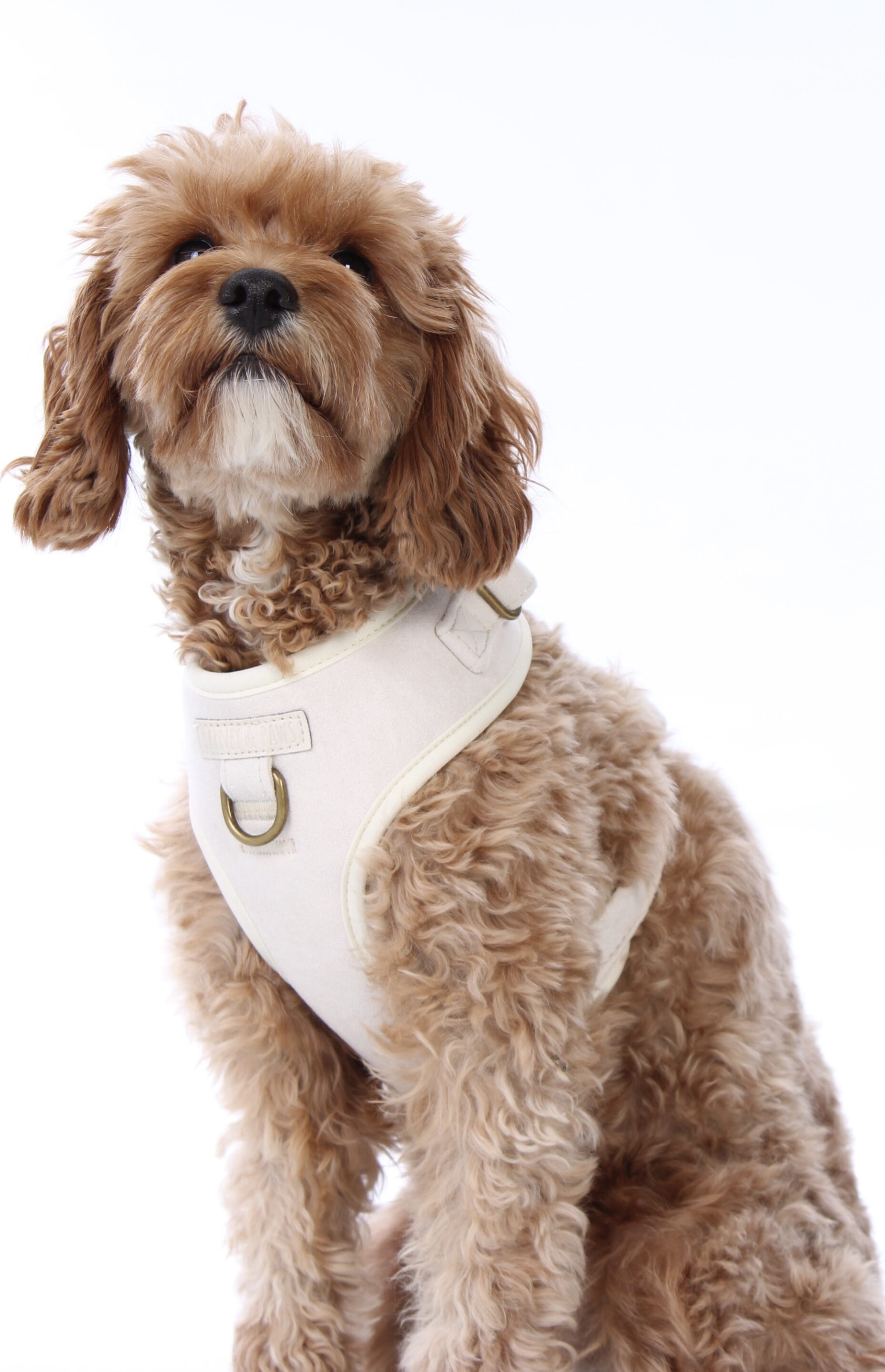 Oatmere Adjustable Neck Harness - Image 9