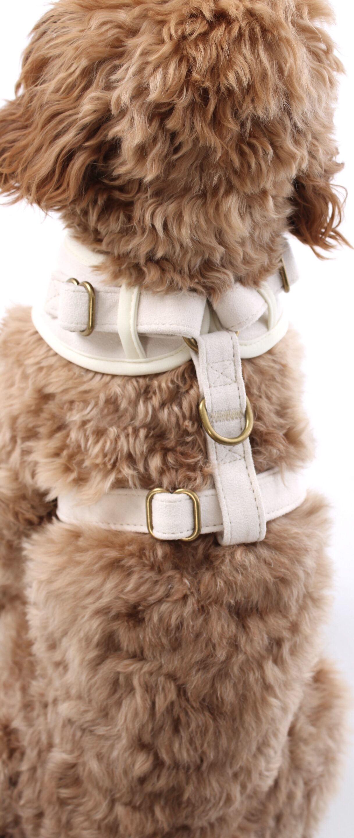 Oatmere Adjustable Neck Harness - Image 12