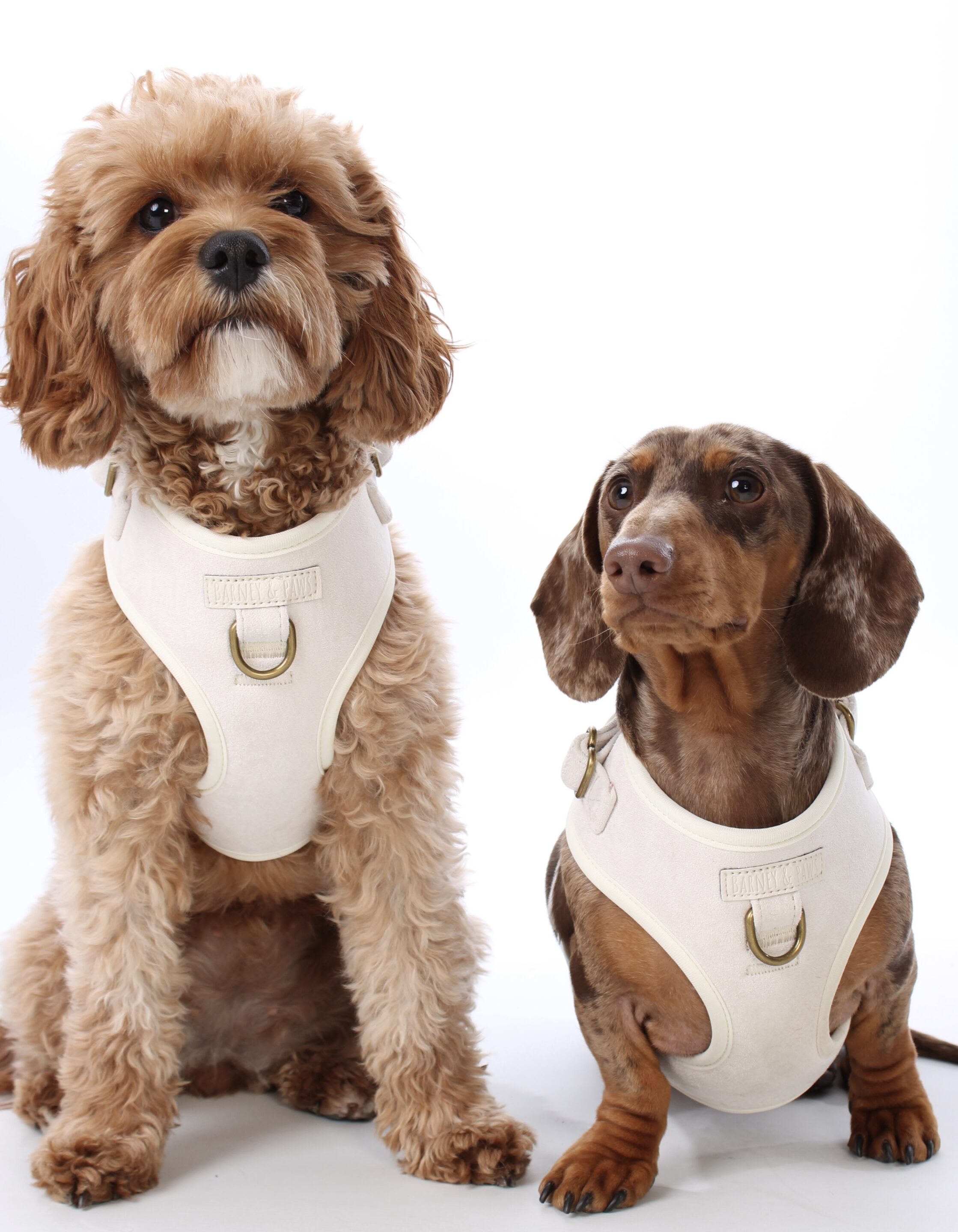 Oatmere Adjustable Neck Harness - Image 7