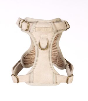 Stone cloud 3-Click Neck Harness