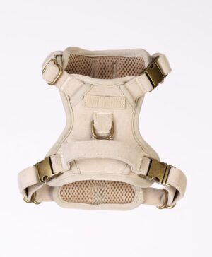 Stone cloud 3-Click Neck Harness